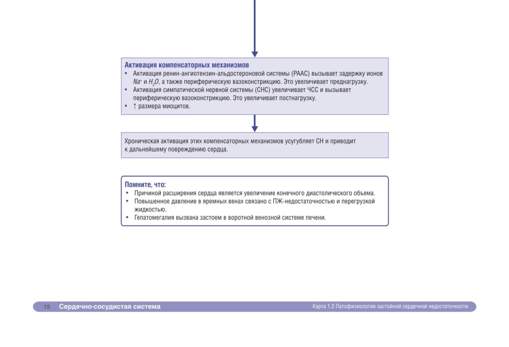 Medical Mind Maps. An Easy Way to Remember Symptoms, Diagnosis, and Treatment Principles